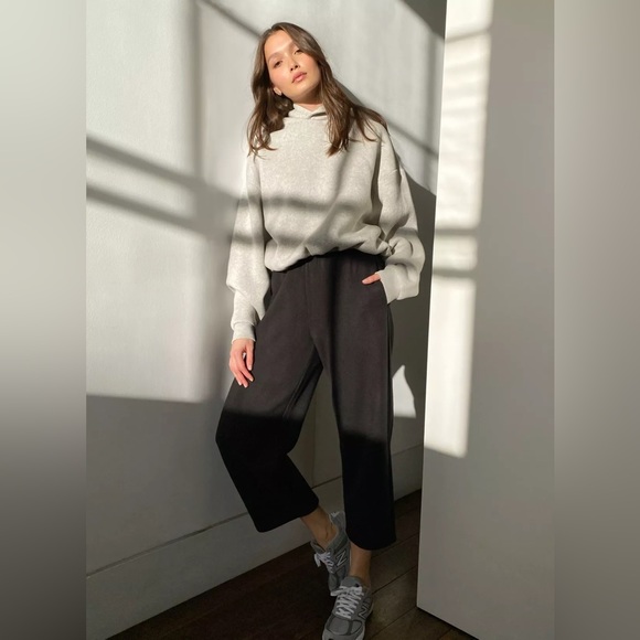 Aritzia The Group by Babaton West Coast Hoodie, oversized slightly cropped - Picture 3 of 12